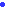 circle01_blue_1.gif
